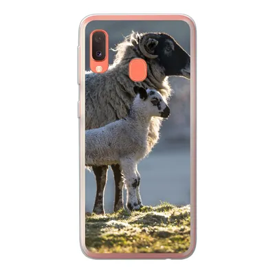 Produktbild von MuchoWow® Handyhülle Schutzhülle Hülle für Samsung Galaxy A20e Schaf - Lamm - Sonne Silikon Softcase Handy Hülle - Abdeckung
