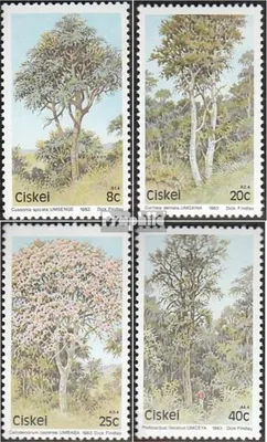 Produktbild von Briefmarken Südafrika - Ciskei 1983 Mi 34-37 (kompl.Ausg.) gestempelt Bäume