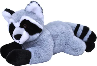 Zdjęcie produktu dla Wild Republic 24759, Zabawka szop pracz
