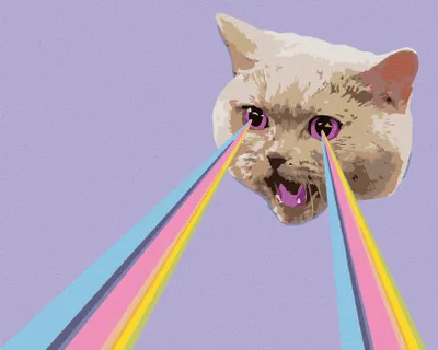 Produktbild von Zuty - Malen nach Zahlen - KATZEN UND REGENBOGENLASER, 40x50 cm, ohne Keilrahmen