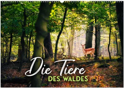 Produktbild von Die Tiere des Waldes (Wandkalender 2025 DIN A2 quer), CALVENDO Monatskalender