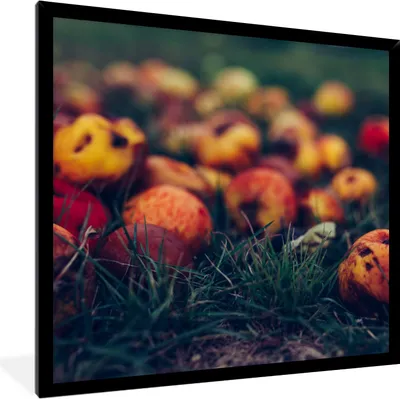 Produktbild von MuchoWow® Gerahmtes Poster Landdekoration - Herbst - Apfel - Obst 40x40 cm - Poster mit Schwarzem Bilderrahmen Wandposter Rahmen Foto Bilder - Mit Rahmen - Wanddekoration Schlafzimmer
