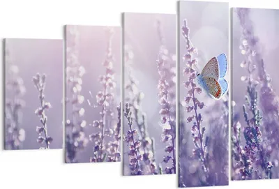 Produktbild von Bild auf Leinwand - Leinwandbild - Schmetterling Wiese Blume - 150x100cm - Wand Bild - Wanddeko - Leinwanddruck - Bilder - Kunstdruck - Wanddekoration - Leinwand bilder - Wandkunst - EG150x100-4014