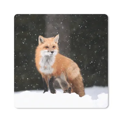 Produktbild von MuchoWow® Mauspad Mousepad Fuchs - Schnee - Winter 20x20 cm - Mousepads - Maus Mat - Pad - Mausunterlage - Desk Mat - Bureauartikeln