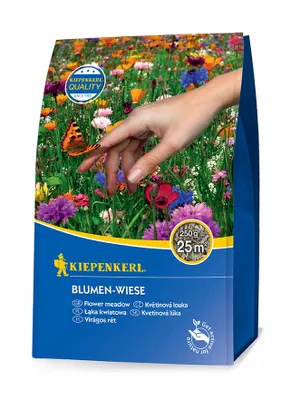 Artikelbild 1 von 'Blumen - Wiese (250 g)' aus der Kategorie Blumenrasen