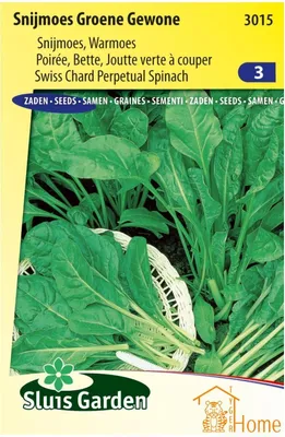 Immagine prodotto di Semi di bietola Green Mangold - alta qualità per un raccolto nutriente, facile da coltivare, ideale per l'orto