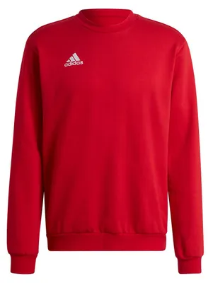 Produktbild von adidas Entrada 22 Sweatshirt XL TEPORE