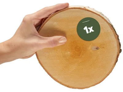 Image de Petite rondelle d'arbre de 16 cm, 1 pièce, pour la fabrication d'objets décoratifs en bois