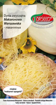 Produktbild von Samen des Gewöhnlichen Kürbisses - Torsaat