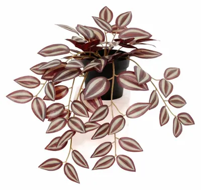 Image de Tradescantia artificielle de 32cm, plante décorative pour le salon, le bureau