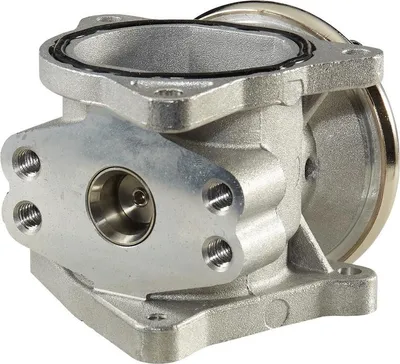 Produktbild von HELLA 6NU 010 171-301 AGR-Ventil mit Dichtungen für VW Golf IV Schrägheck (1J1) Abgasrückführungsventil