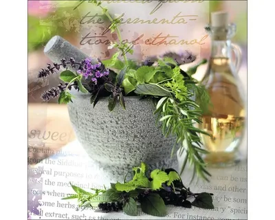 Produktbild von Glasbild Herbage Pestle I 20x20 cm