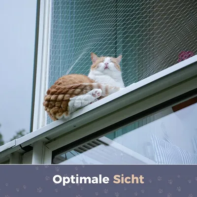 Produktbild von Katzennetz für Balkon und Fenster - Vogelabwehrnetz - 10 x 3 m