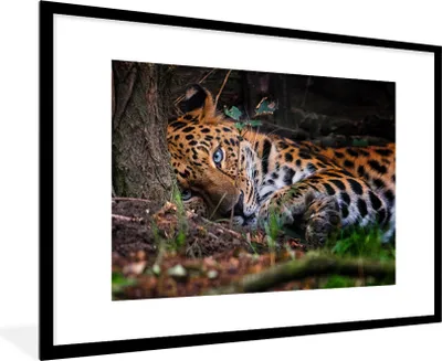 Produktbild von MuchoWow® MuchoWow® Gerahmtes Poster Panther - Baum - Dschungel 90x60 cm - Poster mit zchwarzem Bilderrahmen - Wanddekoration - Fotos