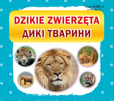 Image de Les animaux sauvages. Animaux sauvages