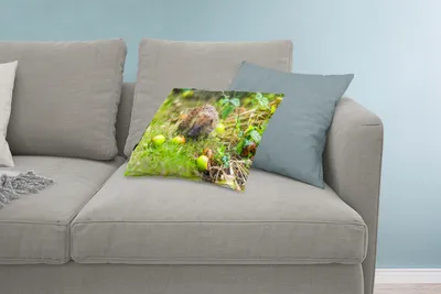 Produktbild von MuchoWow® Zierkissen Sofakissen Wohnzimmer Dekokissen 60x40 cm Igel geht zum Apfel - Kopfkissen - Polster mit Foto