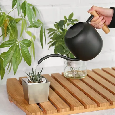 Produktbild von 1,2 L Gießkanne, Holzgriff Edelstahl Hohe Kapazität, Metall Langer Mund Gießkanne, Gartenarbeit Gießkanne für Zimmerpflanzen, Sukkulenten (Schwarz)