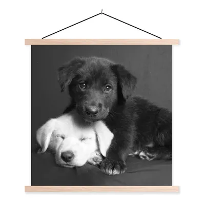 Produktbild von MuchoWow® Textilposter Hunde - Welpe - Schwarz - Weiß - Tiere 60x60 cm mit holzfarbenen Rahmen - Wanddekoration