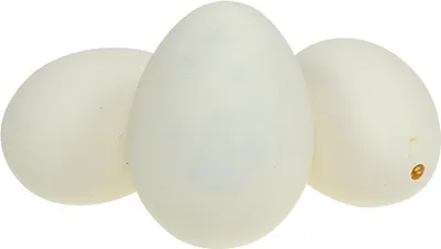 Produktbild von Gänseeier Deko 8cm, Weiße Deko-Eier, Ostereier zum Basteln, 10 Stück