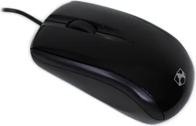 A black computer mouse on a white background.