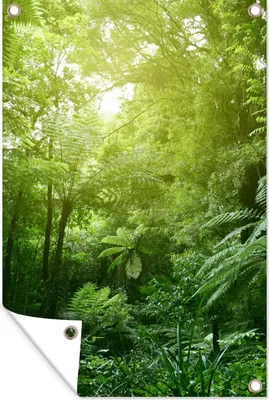 Produktbild von MuchoWow® 40x60 cm Outdoor-Poster Gartendeko Sichtschutz Garten Poster für den Garten  Dschungel - Pflanzen - Blätter - Jungen - Mädchen - Kinder