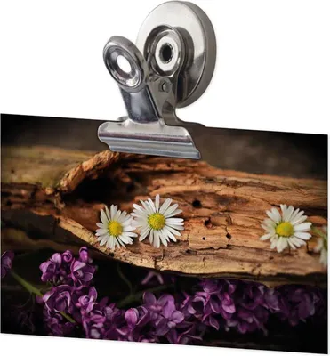 Produktbild von TimeTEX Set Magnet-Clips 50 mm, 3-tlg.