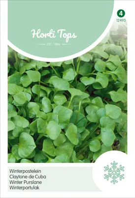 Produktbild von Winterportulak | Portulaksamen von Hortitops