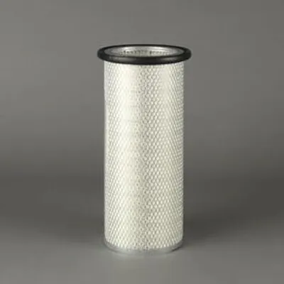 Produktbild von DONALDSON P119373 Sekundärluftfilter 1654696125S 17712324507e11 1266541262e11 für RENAULT TRUCKS C Midliner R G