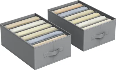 Produktbild von SONGMICS Kleiderschrank-Organizer 2er Set, Aufbewahrungsbox 6 Fächer, Schubladen-Ordnungssystem, Ordnungsboxen faltbar, 42 x 30 x 17 cm, für Hosen