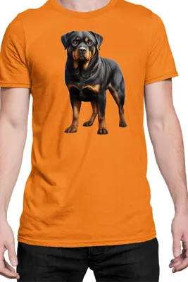 Immagine prodotto di Maglietta da uomo Dogs Breeds Rottweiler Dog Breed 005, Man 2XL , Orange