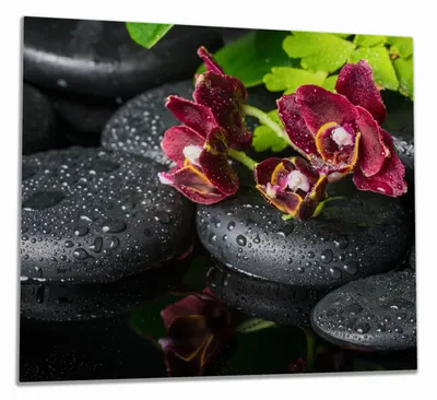 Produktbild von Wallario Herdabdeckplatte aus Glas, Größe 60 x 52 cm 1-teilig, Motiv Dunkelrote Orchideen-Blüte auf schwarzen Steinen mit Regentropfen