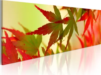 Produktbild von Modernes Wandbild 9060119 (120x40) - 1 Teilig Bilder Fotografie auf Vlies Leinwand Foto Bild Dekoration Wand Bilder Kunstdruck