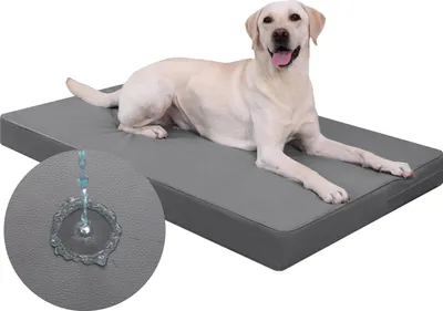 Immagine prodotto di Cuccia ortopedica per cani di grossa taglia - realizzata in ecopelle impermeabile - reversibile - imbottitura in schiuma spessa 8 cm