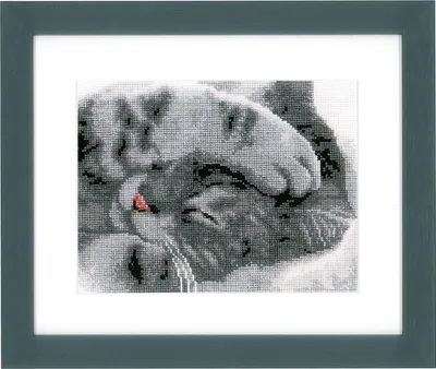 Produktbild von Vervaco Kreuzstich Set "Süße Katzen", Zählmuster, 16x13cm