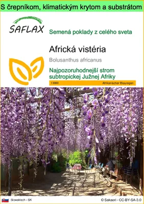 Obrázok produktu pre SAFLAX Garden to go - africká vistéria - Bolusanthus africanus - 15 Semená - S črepníkom, klimatickým vekom a pestovateľským substrátom