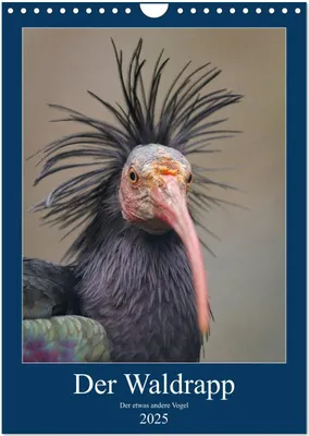 Produktbild von Der Waldrapp - Der etwas andere Vogel (Wandkalender 2025 DIN A4 hoch), CALVENDO Monatskalender