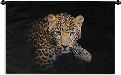 Produktbild von MuchoWow® Wandteppich Wandbehang Panther - Schwarz - Tiere 60x40 cm Tapisserie Dekoration Wandtuch - Wanddekorationen