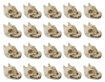 Image de Ensemble de 20 pierres décoratives pour vases