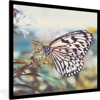 Produktbild von MuchoWow® Gerahmtes Poster Schmetterling - Blumen - Frühling 40x40 cm - Poster mit Schwarzem Bilderrahmen Wandposter Rahmen Foto Bilder - Mit Rahmen - Wanddekoration Schlafzimmer