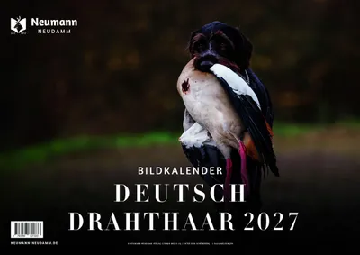 Produktbild von Deutsch Drahthaar 2027 - Themenkalender