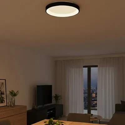 Productafbeelding van Plafondlamp Albi zwart Ø 61cm