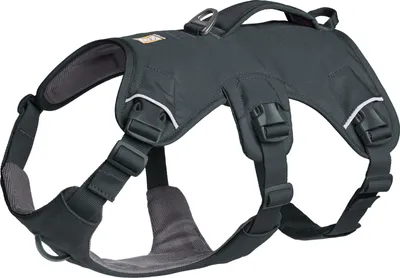 Produktbild von Ruffwear Web Master™ Hundegeschirr