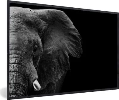 Produktbild von MuchoWow® Gerahmtes Poster Tiere - Elefant - Wild - Schwarz - Weiß 90x60 cm - Poster mit Schwarzem Bilderrahmen Wandposter Rahmen Foto Bilder - Fotorahmen - Foto-Plakat