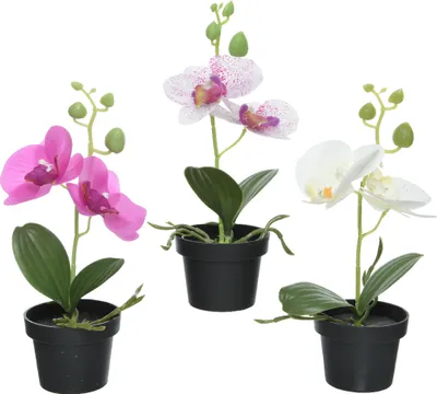 Produktbild von Künstliche Orchideenpflanze sortierte Farben ø13x25cm