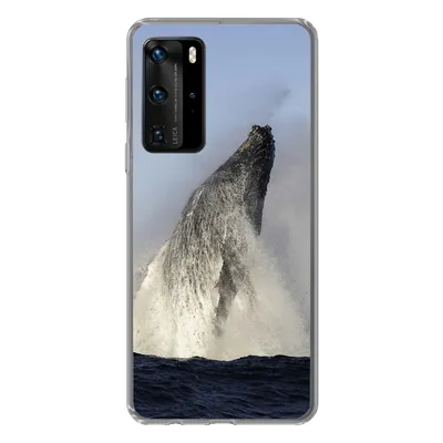 Produktbild von MuchoWow® Handyhülle Schutzhülle Hülle für Huawei P40 Pro Wal - Wasser - Südafrika Silikon Softcase Handy Hülle - Schutz