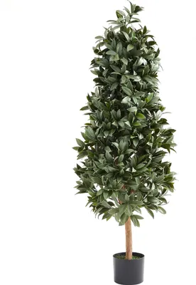 Produktbild von aplanta Künstlicher Lorbeerbaum – Alarion | 150 cm, Echtholzstamm, UV-beständig, für draußen, Kunstbaum, wie echt, Allergiker geeignet, pflanzliche Dekoration Praxis, Office & Wohnzimmer