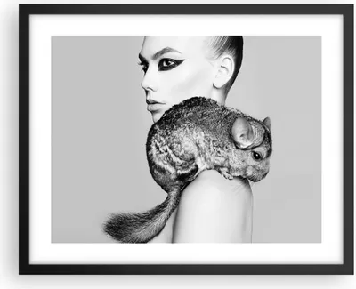 Produktbild von Gerahmtes Poster - Schwarzer Rahmen - Chinchilla Frau Porträt - 50x40 cm - Wand Bild - Wanddeko - Wandbilder - Wandposter - Bilderrahmen - Bilder - Kunstdruck - Wandbild - P2BAA50x40-4278