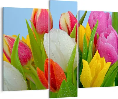 Produktbild von Bild auf Leinwand - Leinwandbild - Tulpen Blumenstrauß Blumen Tau - 95x80cm - Wand Bild - Wanddeko - Leinwanddruck - Bilder - Kunstdruck - Wanddekoration - Leinwand bilder - Wandkunst - CB95x80-2526
