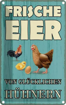 Produktbild von vianmo Blechschild 30x20 cm frische Eier glückliche Hühner Tier Haustier