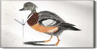 Produktbild von Leinwand Wanduhr Wandkunst Uhr Geräuschlos 60x30 Zeichnung Tier Vogel Kunst - weiße Hände